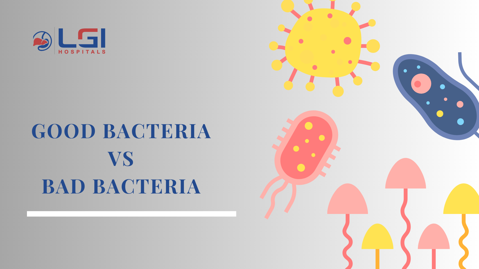 Good bacteria vs bad bacteria