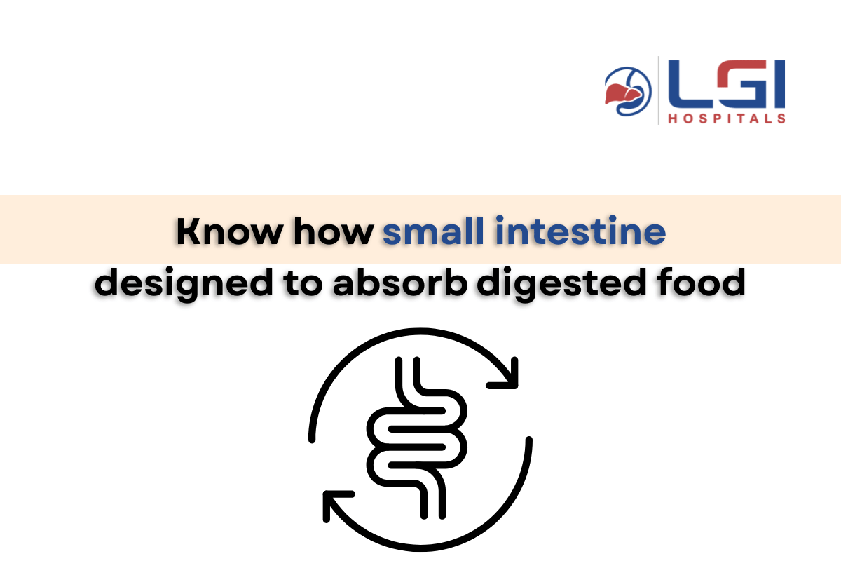 how is the small intestine designed to absorb digested food