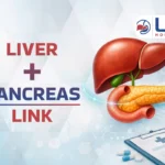 liver and pancreas