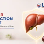 Liver Function Test
