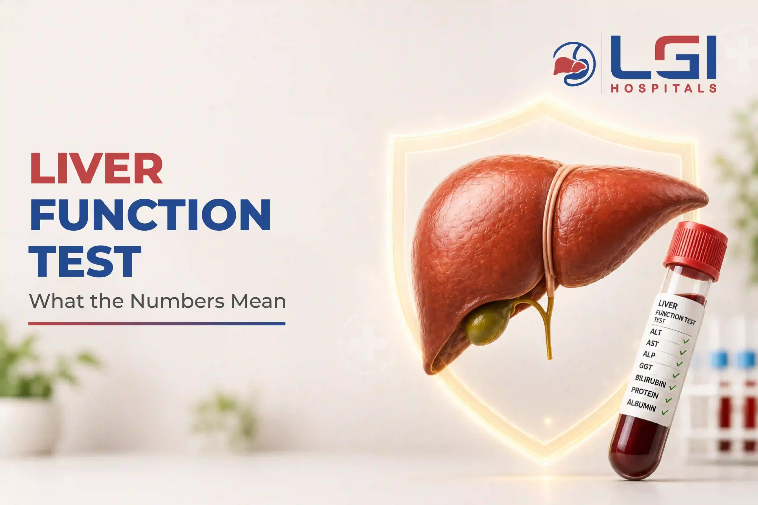 Liver Function Test